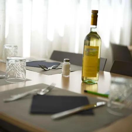 圣埃琳娜酒店 里米尼